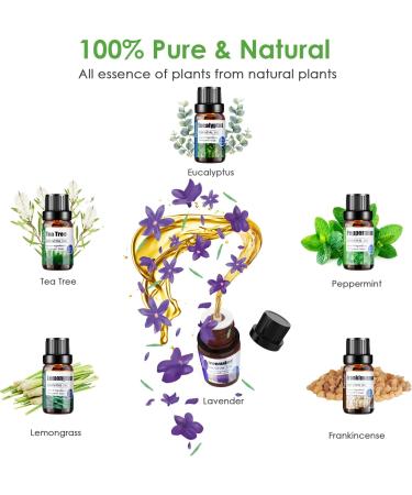 Premium Essential Oils Set - 20 x 10ML Kit for Diffusers Home Care Candle Making & Gifts | Frankincense Cinnamon Eucalyptus Lavender & More - Buy Online on GoSupps.com