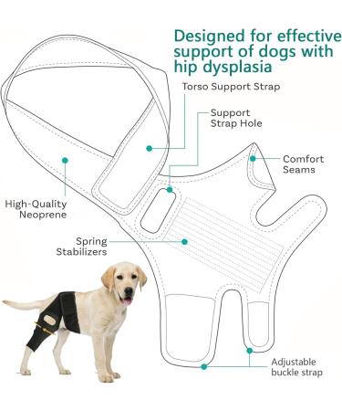 Dog Knee Brace for Torn ACL Hind Leg Adjustable Dog Acl Knee Brace Support for Large and Small Dogs with ACL CCL Cruciate Ligament Injuries for Both Back and Front Legs - Buy Online on GoSupps.com