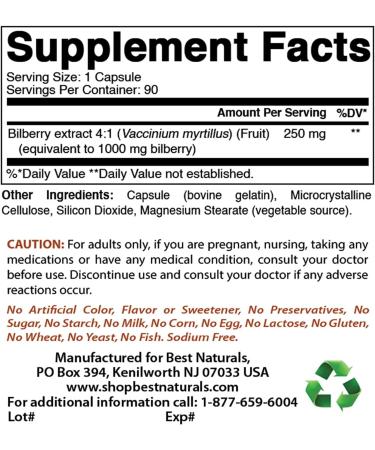 Buy Best Naturals Bilberry 1000 Mg - 90 Capsules (Pack of 3) for Eye Health | Fast International Shipping - Buy Online on GoSupps.com