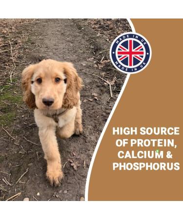 Pets Purest 100% Natural Red Deer Antlers for Dogs - 2 Small Stag Horn Bones - Premium Treat & Plaque Removal Chews - Buy Online on GoSupps.com