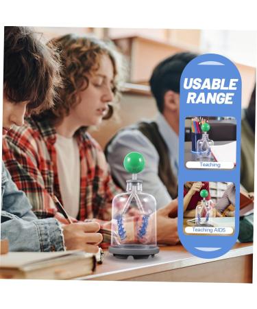 Buy Healvian Lung Breathing Model - Educational Human Body Organs Teaching Tool for Anatomy | International Shipping Available - Buy Online on GoSupps.com