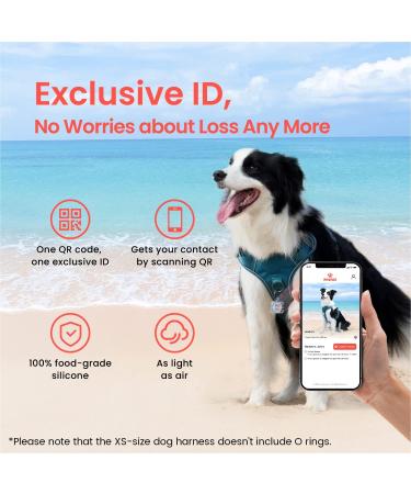 Pawaii XS Dog Harness for Small Dogs - Breathable No-Pull Chest Harness with Handle - Teal Green - Ideal for Anti-Drawing & Comfortable Fit - Buy Online on GoSupps.com