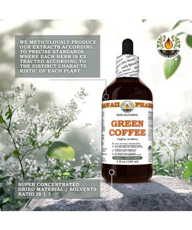 Green Coffee (Coffea Arabica) Dry Bean Glycerite Made in Hawaii All Natural Vegan Lab Tested Alcohol-Free Liquid Extract - 2 fl.oz 2 Fl Oz (Pack of 1) - Buy Online on GoSupps.com