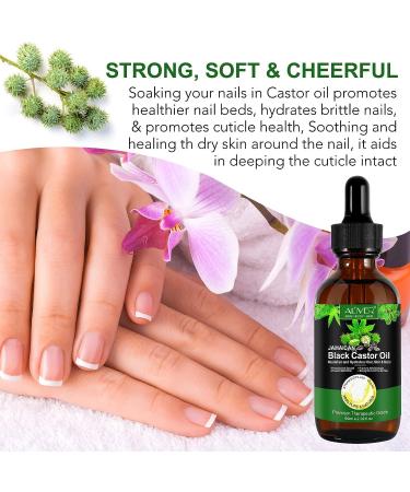 SHIFAKOU Jamaican Black Castor Oil for Hair Growth - 2oz | Cold Pressed, Pure & Natural | Eyelashes, Eyebrows, Hair Regrowth Treatment - Skin & Nails - Buy Online on GoSupps.com