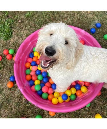 MYSXN 20PCS Colorful Ping Pong Balls for Pong Game and DIY Arts - Plastic Table Tennis Balls for Kids - Buy Online on GoSupps.com