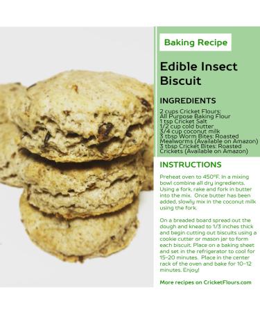 Cricket Bites: Assorted Edible Insects 3-Pack | Portland-made Snacks - Buy Online on GoSupps.com