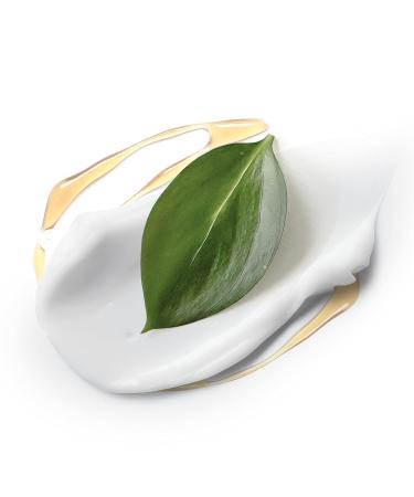 Dove Care by Plants Lemongrass Deodorant Stick 2.6 oz - 3 Pack | Aluminum-Free & Long-Lasting Protection - Buy Online on GoSupps.com