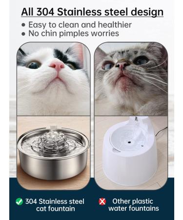 Stainless Steel Cat Water Fountain 2.0L/67oz - Ultra-Quiet Pump, LED Light, Dishwasher Safe - Ideal for Puppy and Cat - Buy Online on GoSupps.com