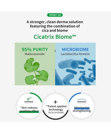 Wellage Cica Calming Cream 2.7oz | Soothing Face Moisturizer with Madecassoside for Sensitive Skin Anti-Redness & Anti-Scaling - Buy Internationally - Buy Online on GoSupps.com