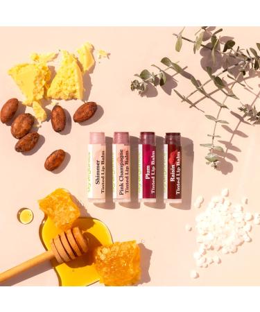 Sky Organics Tinted Lip Balms 4 Pack - Natural & Moisturizing | 0.15 oz Each - Buy Online on GoSupps.com