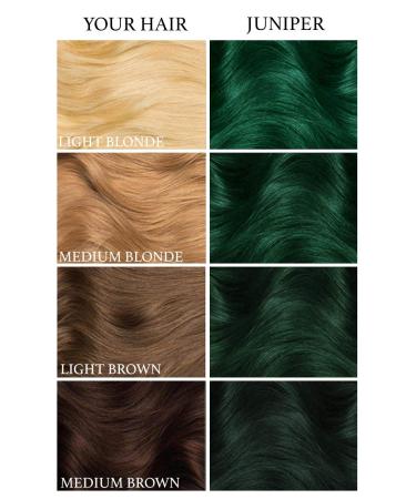 Lunar Tides Juniper Green Hair Dye - 4 fl oz (Pack of 1) | Semi-Permanent Color - Buy Online on GoSupps.com