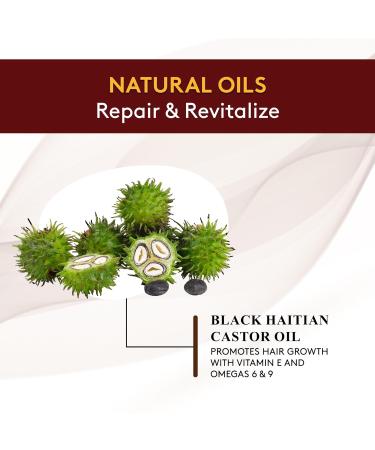 OKAY Pure Naturals Black Haitian Castor Oil - Castor Oil for Hair Health for Men & Women Moisture for Skin Body Scalp Eyelashes Eyebrows - 4 oz Glass Bottle (Pack of 1) Haitian Castor Oil 4 Ounce (Pack of 1) - Buy Online on GoSupps.com