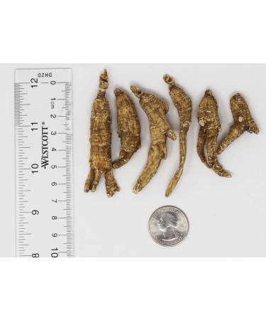 DABC OAK LAND 8OZ/Box American Ginseng Hand-Selected Wisconsin Farmed Ginseng Root Long Cultivated Wisconsin American Ginseng - Buy Online on GoSupps.com