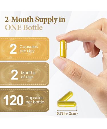 YIdegt Berberine Supplement with Natural Ceylon Cinnamon - Organic Turmeric Curcumin Supplements - 120 Capsules for Men Women - Berberine Complex Non-GMO Vegan Gluten-Free - Buy Online on GoSupps.com