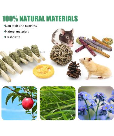 14Pcs Bunny Enrichment Toys Natural Hamster Chew Sticks Molar Guinea Pig Chew Ball Different Flavors Grass Cakes Teeth Grinding Chinchilla Treats for Syrian Hamster Rabbit Gerbil(H02) - Buy Online on GoSupps.com