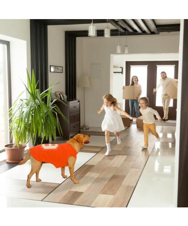 Buy Medium Orange Dog Shirt - Breathable Summer Vest for All Sizes - Stylish Tank Top for Pets - Buy Online on GoSupps.com