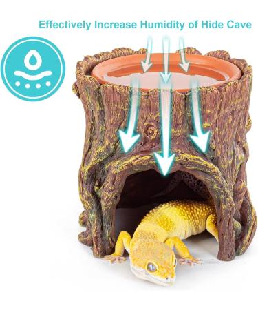 Reptile Hide Cave with Clay Water Bowl and Bearded Dragon Carrier Resin Moisture Keeping Reptile Hideout with Basin Humidifying Help Shedding for Reptile Amphibians Leopard Gecko(Hideout + Carrier) - Buy Online on GoSupps.com