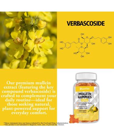 Mullein Gummies 2000mg Organic Mullein Leaf Extract with Quercetin Bromelain & Vitamin D3 Mullein Leaf Extract for Respiratory Natural Lung Cleanse Improve Appetite Vegan Non-GMO 1 Pack 60 Count (Pack of 1) - Buy Online on GoSupps.com