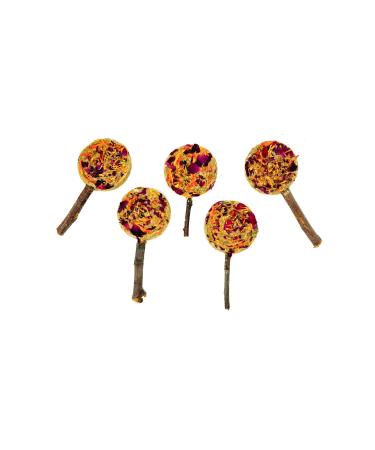 No Furries Delights Forage Pops: 5-Pack of 100% Natural High Fiber Enrichment Treats for Rabbits Hamsters Guinea Pigs Chinchillas Rats and Mice - Perfect for Dental Health Bonding and Training