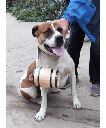 Bernhardiner Rescue Barrel Collar | Adjustable 1/2L Barrel Band for Dogs | Pet Safety Gear - Buy Online on GoSupps.com