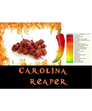 hot 10 g Chilli Carolina Reaper The World's Strongest - Buy Online on GoSupps.com