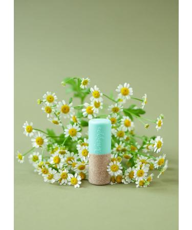 Kneipp Lip Care Water Mint & Aloe Vera Hydro 4.7g - Nourishing Hydration for Soft Lips | International Shipping Available - Buy Online on GoSupps.com
