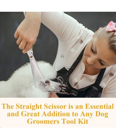 JASON Professional Dog Grooming Scissors - 7.5 Inch Straight Paw Scissors for Dogs & Cats - Buy Online on GoSupps.com