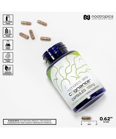Nootropics Depot Cognance Enhanced Bacopa Capsules | 100mg | 10% Ebelin Lactone | Bacopa monnieri | Mood Memory & 5-HT2A Activation 60 Count (Pack of 1) - Buy Online on GoSupps.com