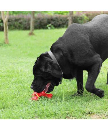 Shop Cvalin Dog Toys for Large Breeds | Aggressive Chew Cubes & Dental Cleaning Stick - Red - Buy Online on GoSupps.com