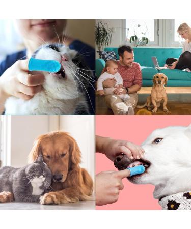 10Pcs Dog Toothbrush Dog Finger Toothbrush 360 Pets Teeth Cleaning Toothbrush Kit for Dogs Puppies Dog Teeth Cleaning Products for Cats Small Pets Dental Care (Blue) - Buy Online on GoSupps.com