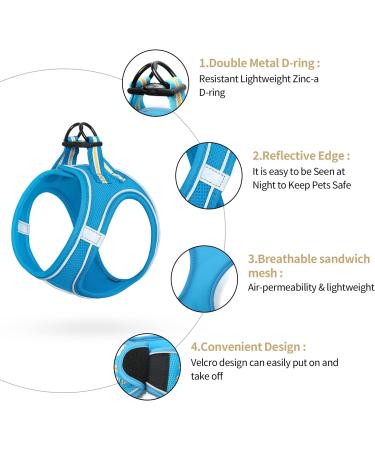 Adjustable Reflective Dog Harness for Small Dogs Breathable & Lightweight Walking/Training Harness in Sky Blue - Buy Online on GoSupps.com