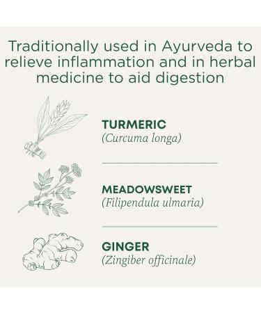Traditional Medicinals - Organic Turmeric with Meadowsweet and Ginger Herbal Tea (Pack of 1) - Traditionally Used to Relieve Inflammation and Aid in Digestion - 16 Tea Bags Total Tea Tumeric with Meadowsweet and Gigner 16 Count (Pack of 1) - Buy Online on GoSupps.com