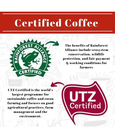 PAOLA: VIETNAMESE Single Origin Coffee | Grade 1 Robusta | Smooth Roast | Strong coffee | Hand Roasted Coffee Beans (1kg Resealable Bag) - Buy Online on GoSupps.com