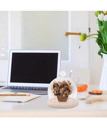 NOLITOY 1 Set Glass Cover High Borosilicate Glass Arch Dust Cover Round 12cm - Buy Online on GoSupps.com