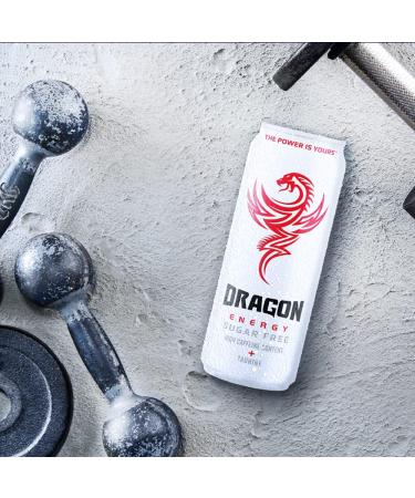 Dragon Energy Sugar Free 24 x 250 ml Ingwer 24 x 250 ml - Buy Online on GoSupps.com