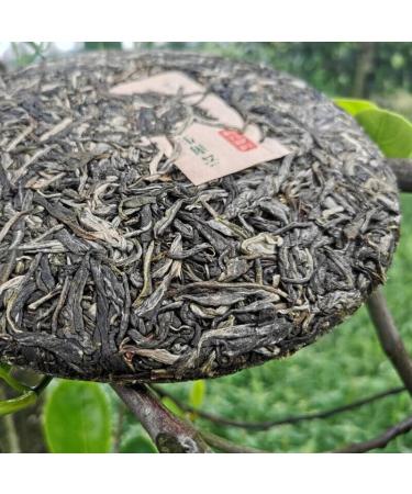 HELLOYOUNG 357g G teau au th Pu-erh chinois naturel et biologique Arbor - Tree Nourriture verte sans additifs Go t doux et subtilement sucr  - Buy Online on GoSupps.com