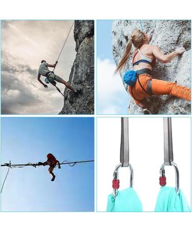 DAGORD 2-Piece 60 cm Polyester Climbing Sling - Durable Webbing for Climbing Swings Tree Work & Outdoor Activities (20 mm) - Buy Online on GoSupps.com