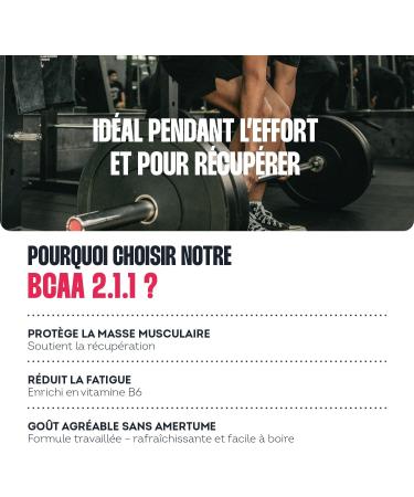 BCAA 2.1.1 Poudre poudre Citron - Leucine Isoleucine Valine + Vitamine B6 - nergie R cup ration & Endurance - Go t Sans Amertume - Compl ment alimentaire Musculation - Buy Online on GoSupps.com