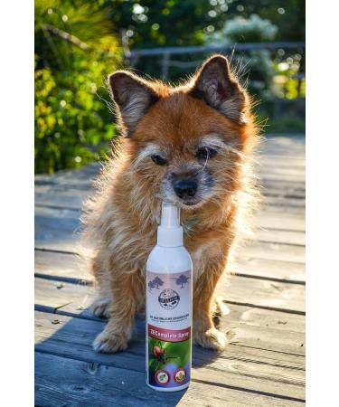 Bellfor Anti-Tick Spray for Dogs | Plant-Based Zecomplete Tick Protection (100ml) - Effective Against Ticks & Parasites | International Shipping Available - Buy Online on GoSupps.com