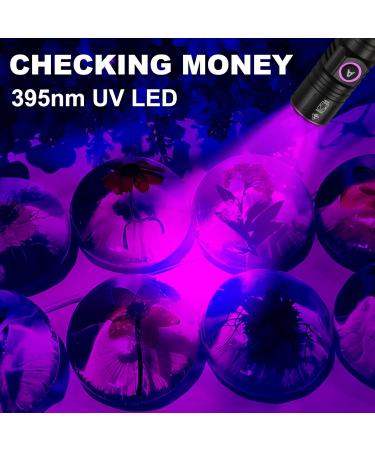 ULTRAFIRE UV 395nm Torch - USB Rechargeable Powerful Ultraviolet LED Black Light Ideal for Resin Curing/Scorpion Detection/Fluorescent Discovery/Pet Urine Disclosure - Pack of 2 - Buy Online on GoSupps.com