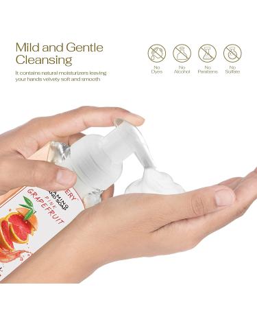 Moisturizing Foaming Hand Soap Pack - Aloe Vera & Essential Oils - Alcohol-Free Citrus Blend - Lemon, Orange, Lime, Pink Grapefruit - Kitchen/Bathroom Hand Wash - Set of 5 - Buy Online on GoSupps.com