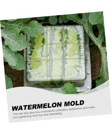 OSALADI Tools Pumpkin Watermelon Shaping Mold Fruit Forming Mold Vegetable Stereotypes Gardening Supplies 15x15cm Transparent - Buy Online on GoSupps.com