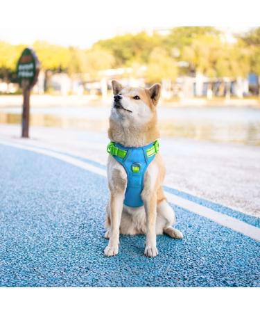 Phoepet No Pull Dog Harness - Reflective Vest with Soft Training Handle for All Dog Sizes (Blue Base & Green Straps) - Buy Online on GoSupps.com