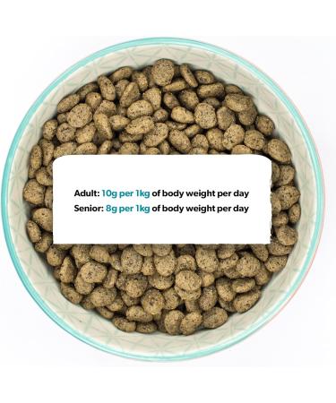 Burns - Grain Free Adult Dog Food with Duck and Potatoes - 2 kg - Buy Online on GoSupps.com