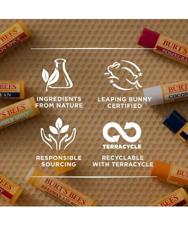 Burt's Bees 100% Natural Moisturizing Lip Balm Beeswax - 2 Tubes 2 Count Value Pack - Buy Online on GoSupps.com