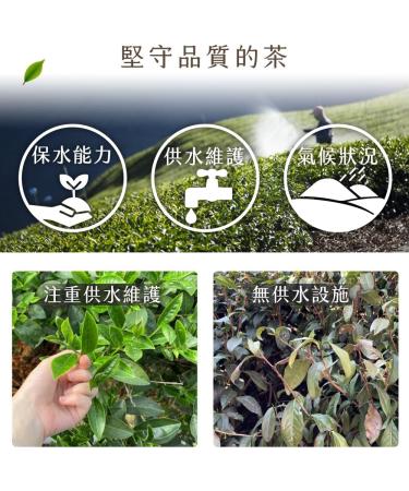 Taiwan unique tea Qilai Mountain Oolong Tea 150g*4 - Buy Online on GoSupps.com