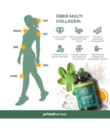 Primal Harvest Multi-Collagen Capsules - 120 High-Dose Premium Collagen - GMP Certified Made in Germany | International Shipping - Buy Online on GoSupps.com