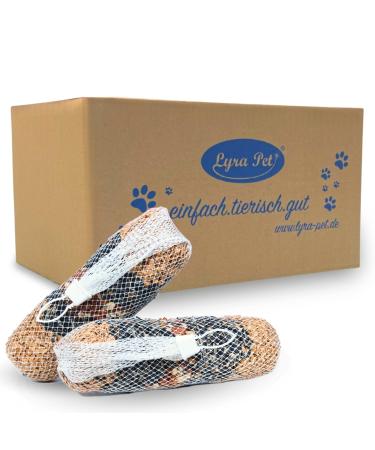 Lyra PET |4 pcs.Giant feed bar 600 g |Bird food for hanging |Energy source for wild birds in summer & winter |Ideal for balcony & terrace |Nutrient -rich & decorative mixture