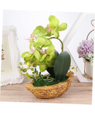TOPBATHY 3pcs Rn Gift Phalaenopsis Home Accents Decor The Gift Home Forniture Decor Artificial Flower Bonsai Decor for Home Office Decor Garden Simulated Plant Double Fork Fake Orchid Greenx3pcs 27*17.5cmx3pcs - Buy Online on GoSupps.com