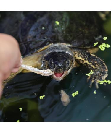 JBL Proterra PESCARUS 2.5l - Buy Online on GoSupps.com